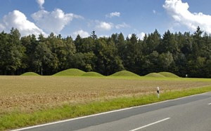 Frühkeltisches Grabhügelfeld