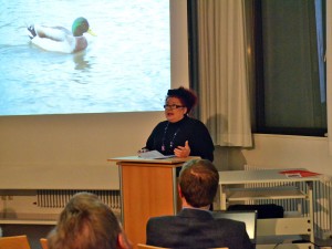 Das tierische Bamberg im Lichte der Stadtgeschichte