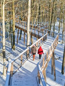 Der Baumwipfelpfad im Steigerwald boomt - auch im Winter