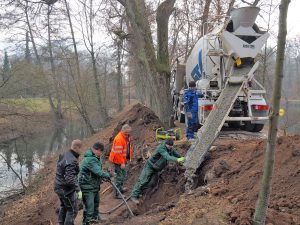 Gartenamt sichert Biber-geschädigten Damm zwischen Walkmühle und Hainbadestelle