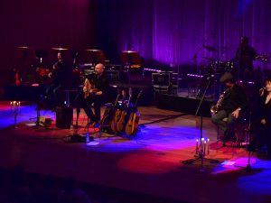 Echos Pink Floyd Akustik Konzert