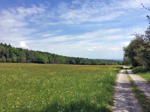 Der gebürtige Bamberger Christian Fiedler legt 200 Kilometer zu Fuß zurück