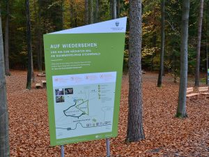 Herbst-im-Steigerwald Baumwipfelpfad