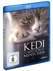 KEDI - Von Katzen und Menschen