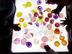 Kunstschule Bamberg Erstsemester