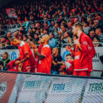 easyCredit BBL 18/19 - 5. Spieltag: Brose Bamberg vs. Mitteldeutscher BC