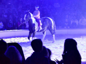 Yakari Show brose arena