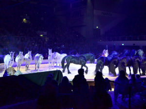 Yakari Show brose arena