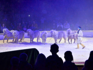 Yakari Show brose arena