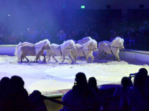 Yakari Show brose arena