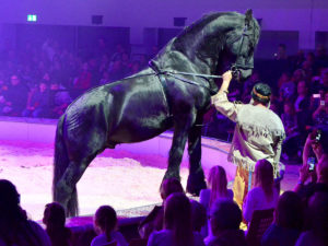 Yakari Show brose arena