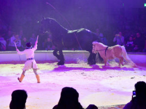 Yakari Show brose arena