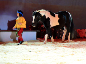 Yakari Show brose arena