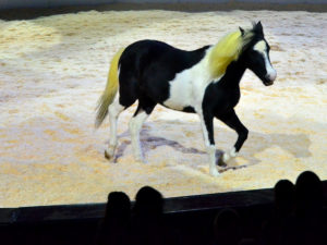 Yakari Show brose arena