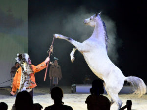 Yakari Show brose arena