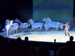 Yakari Show brose arena