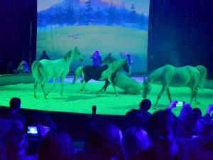 Yakari Show brose arena