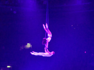 Feuerwerk der Turnkunst 2019