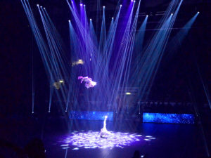 Feuerwerk der Turnkunst 2019