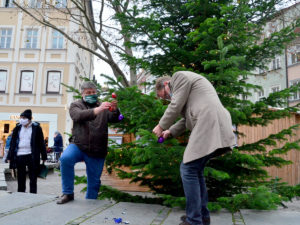Baum_der_Hoffnung_2020
