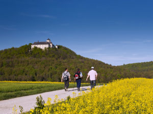 Wandern im Bamberger Land