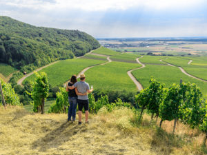 Weinparadies Franken: Hüttenheimer Tannenberg