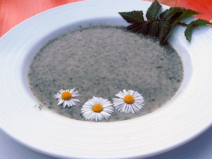 Osterferienprogramm im Bauernmuseum Bamberger Land: Grüne Suppe