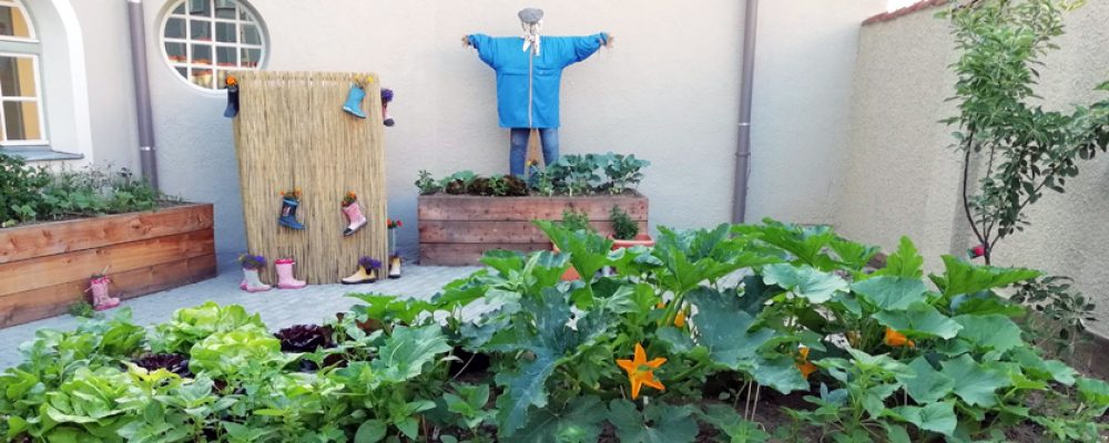 Martinschüler schaffen eigenen urbanen Schulgarten