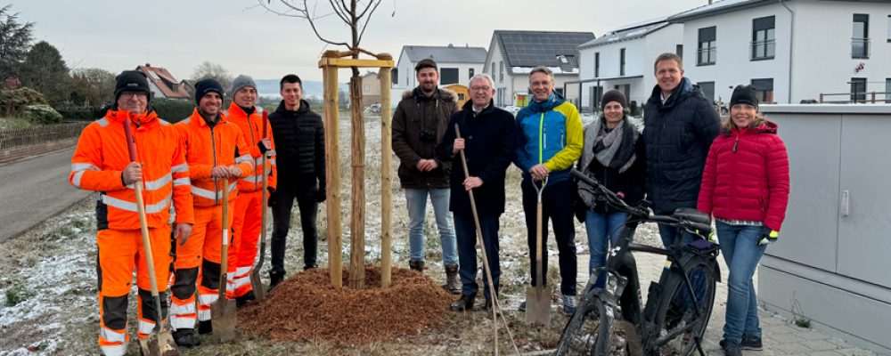 Der Landkreis dankt seinen radaktiven Gemeinden mit Bäumen und Fahrradständern