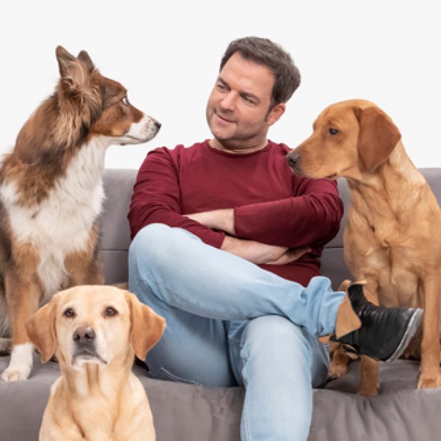Hundetrainer Martin Rütter fasziniert nicht nur Vierbeiner