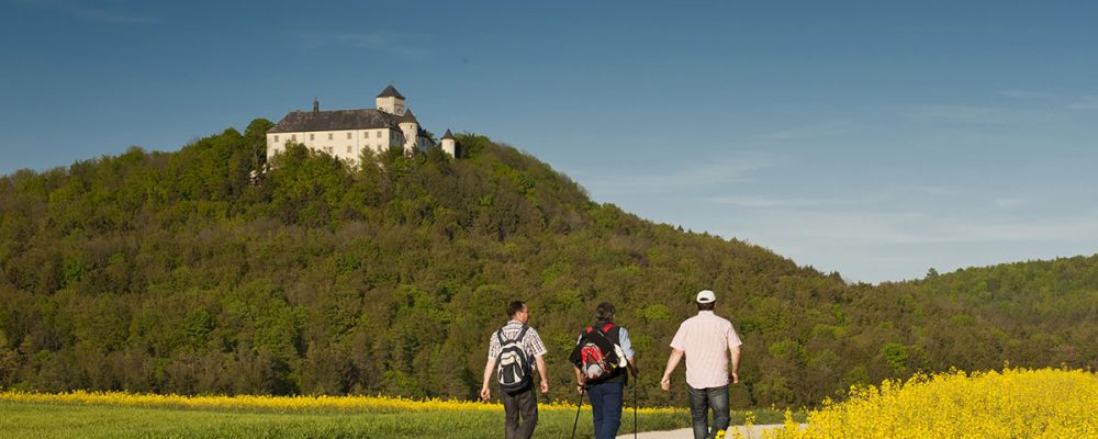 Profitieren Bamberg und der Landkreis vom Tourismus?