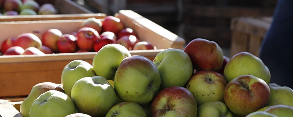 Apfelmarkt in Memmelsdorf erst 2021