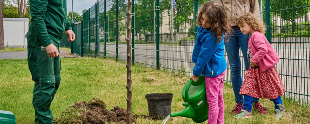 Stadtbau GmbH Bamberg unterstützt Aktion „1000 Bäume für ein besseres Klima“