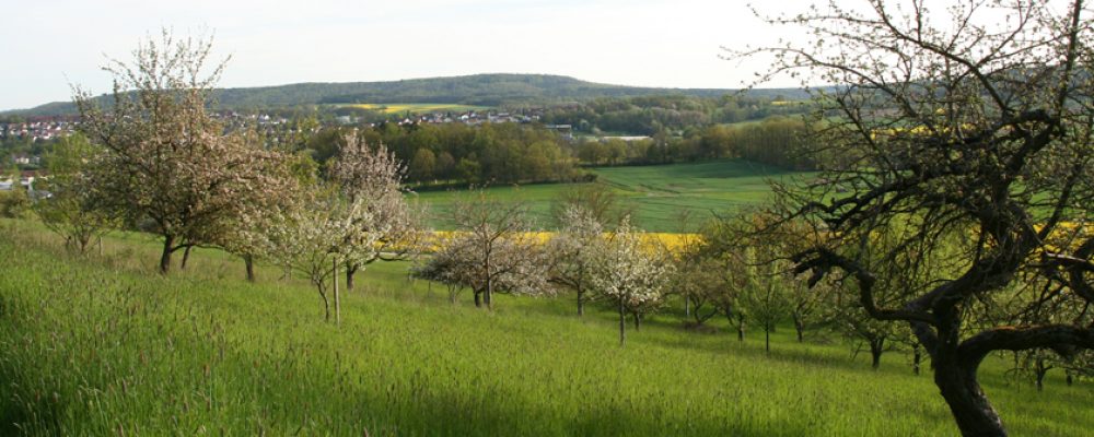 Auftakt des Streuobst-Großprojekts „Landkreis Bamberg – Streuobst hat hier Tradition“ des Landschaftspflegeverbands