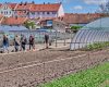 Bürgerwerkstatt zur Klimaanpassung öffentlicher Flächen in Bamberg