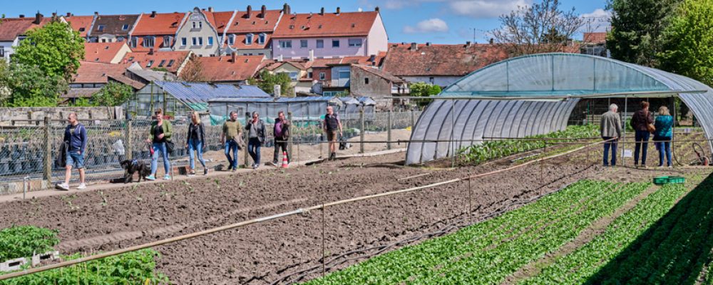 Bürgerwerkstatt zur Klimaanpassung öffentlicher Flächen in Bamberg