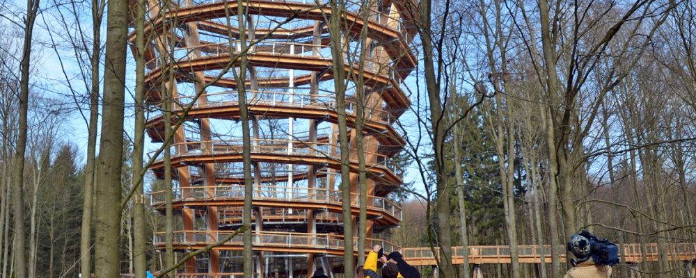Neuer Baumwipfelpfad im Steigerwald bald geöffnet