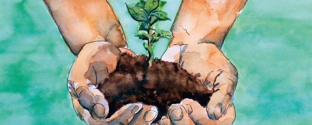 25 Jahre Biotonne – 30 Jahre Kompostanlage