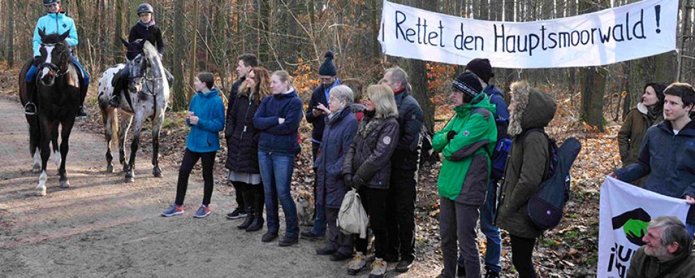 Ein Prost auf den Hauptsmoorwald