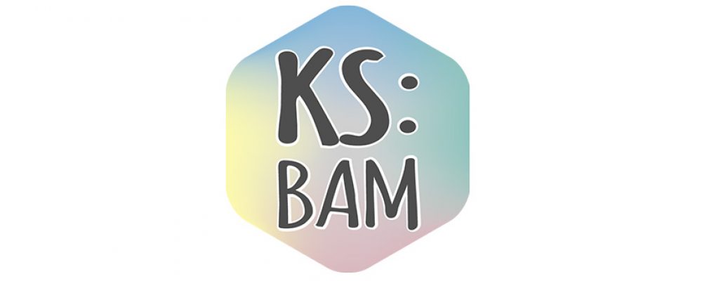 Der KS:BAM feiert das Jubiläum der Bamberger Verfassung