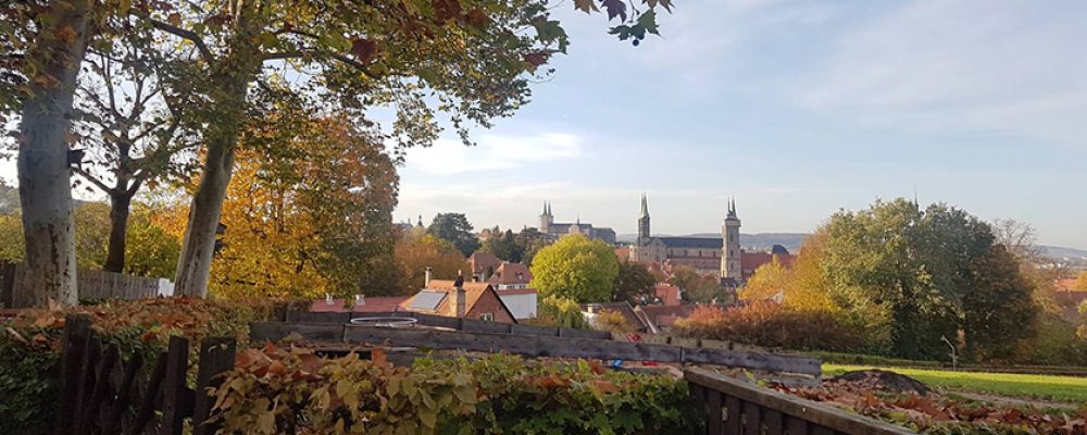 Elf Tipps für die Tage nach Weihnachten