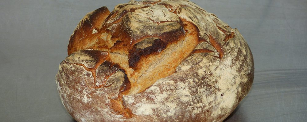 In schweren Zeiten zurück zu den Wurzeln