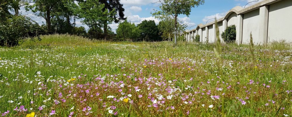 Programm für mehr biologische Vielfalt
