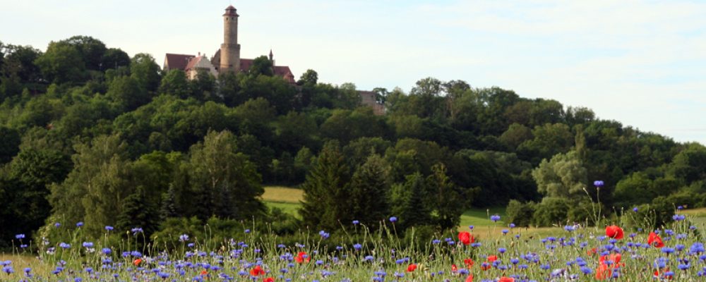 Seniorenführung auf der Altenburg