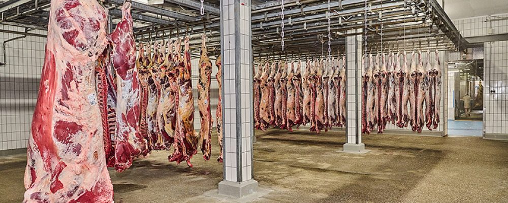 OB Starke: „Wir haben einen Plan für die Zukunft des Schlachthofs“