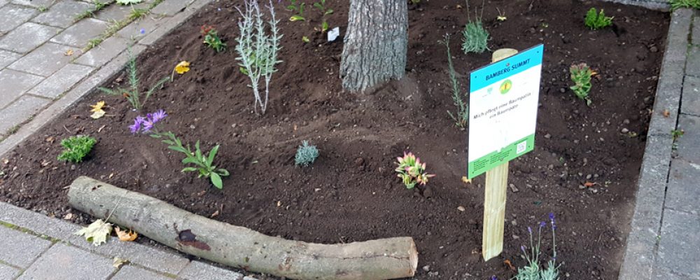 Damit es in Bamberg mehr „summt“