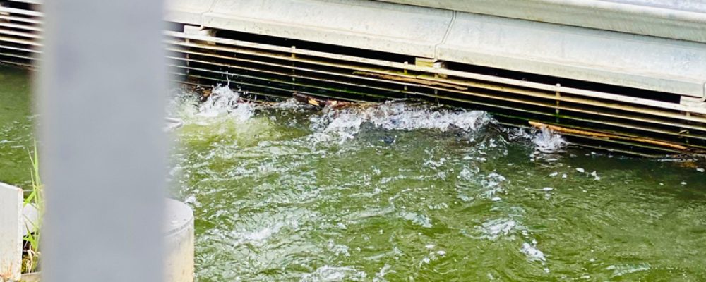 Wasserkraft und Welterbe