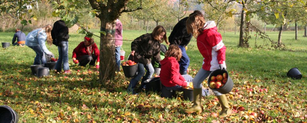 Streuobstbesitzer & Fans aufgepasst!  Die neue Streuobstbörse kommt