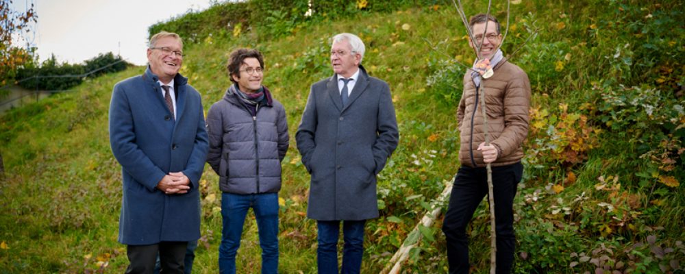 Symphoniker garantieren Pflege der Streuobstbäume am Michaelsberg