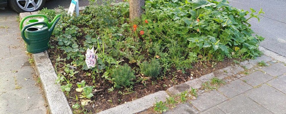 Begrünte Baumscheiben für ein lebenswertes Stadtklima
